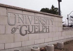 Guelph police seek help identifying people caught on videos of rowdy homecoming party