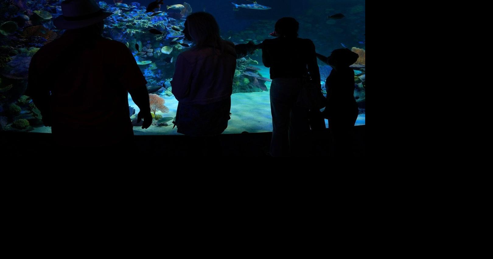 https://bloximages.chicago2.vip.townnews.com/thestar.com/content/tncms/assets/v3/editorial/4/9e/49edde28-40d8-55a3-a22b-bdd9261c486a/68e493c8718b1.image.jpg?crop=1620,851,0,114&resize=1200,630&order=crop,resize
