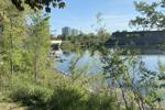 Chinguacousy Park in Brampton closed by police due to 'unsafe' gatherings, fireworks