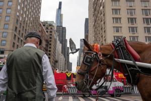 Facing a ban on horse-drawn carriages, Central Park's drivers fear for their livelihoods