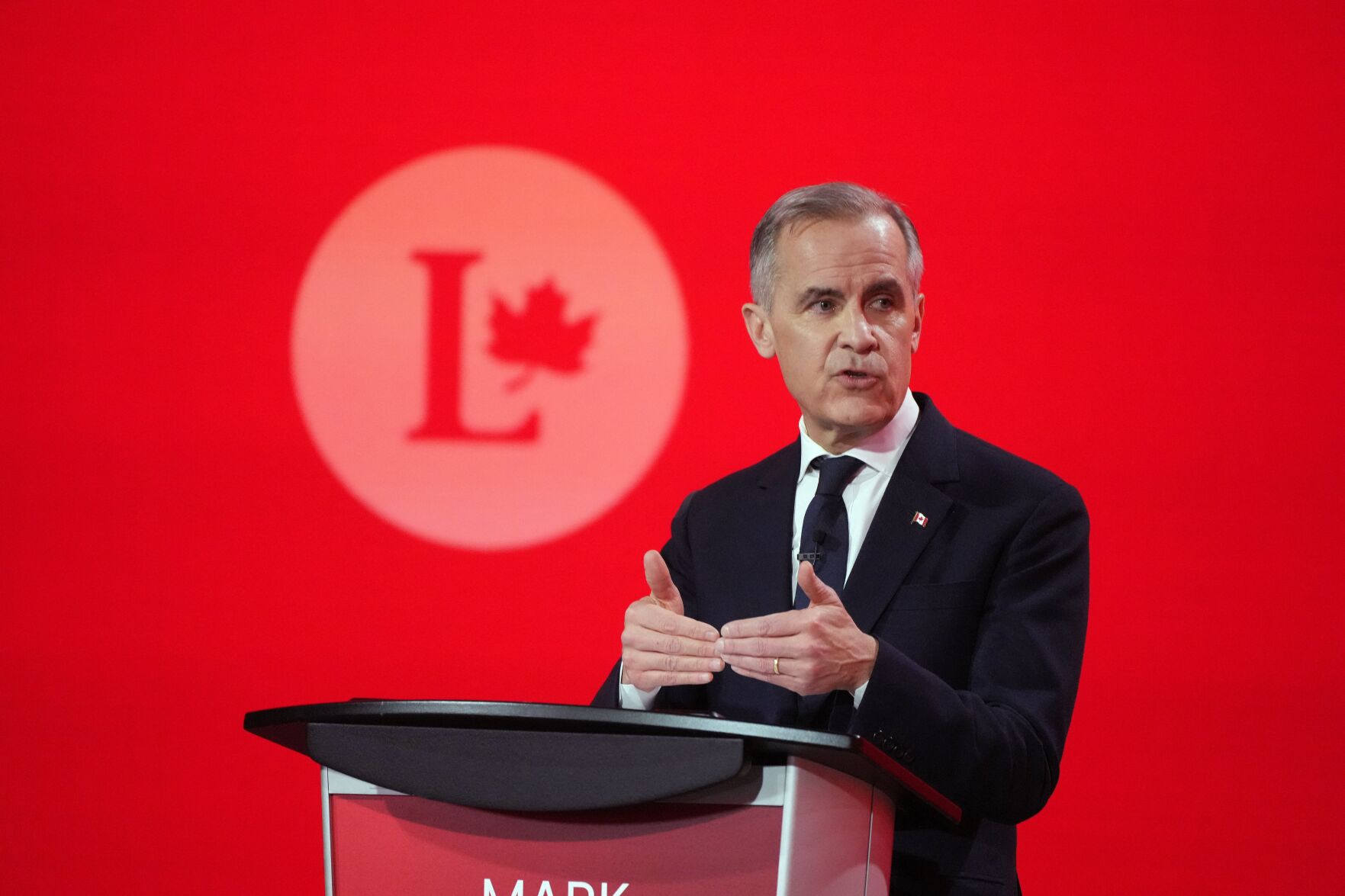 Frank Baylis Role in the Liberal Leadership Debate
