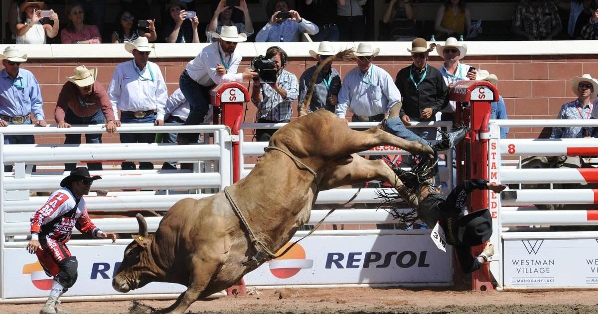 Stampede bull riders taking steps to deal with concussions and head ...