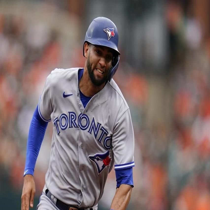 Blue Jays Lourdes Gurriel Jr. recovering from surgery to repair