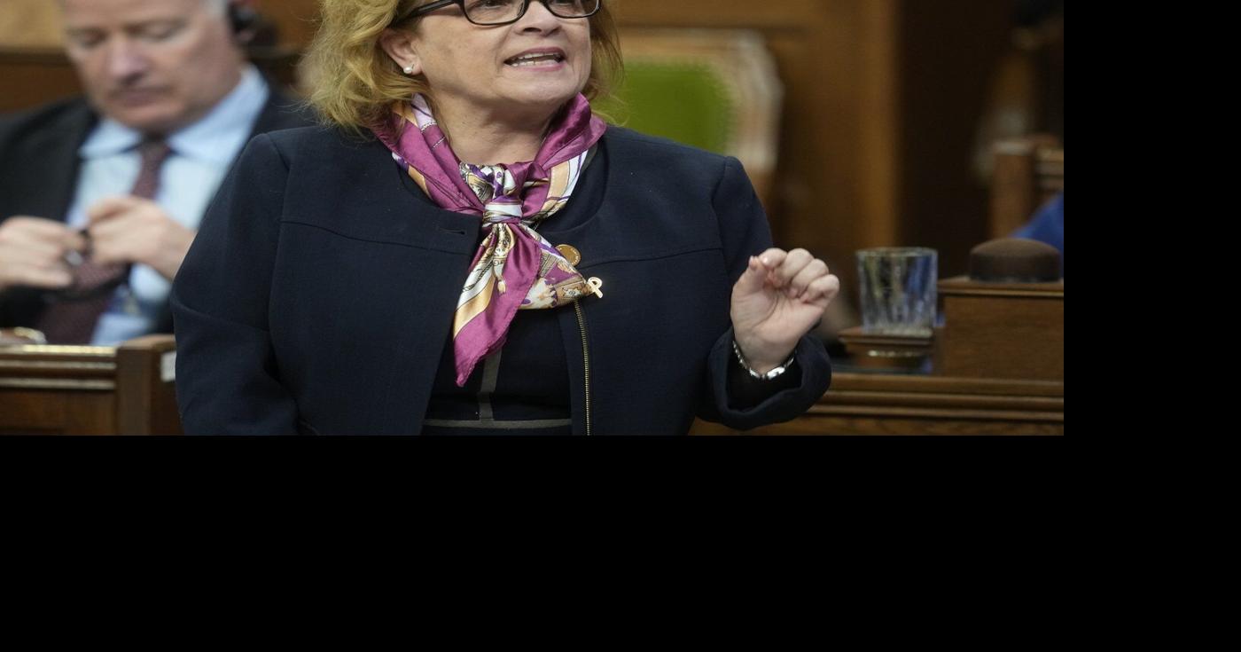 Immigration Department looking into termination of refugee sponsor policy: Diab