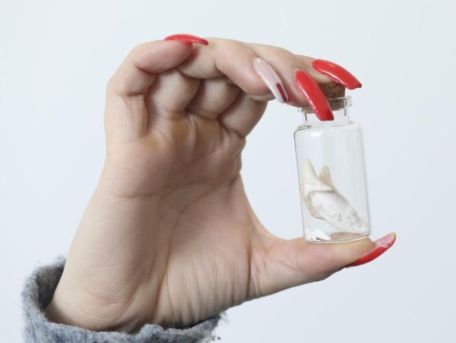 Aquamation, waterbased pet cremation, takes hold in Toronto