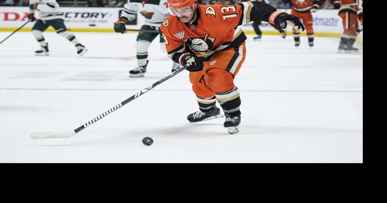 Anaheim Ducks place D Cam Fowler, F Robby Fabbri on injured reserve