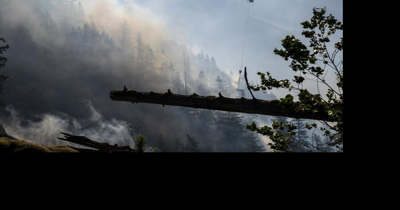 Wet and mild winter is 'good news' for B.C. wildfire season, says forecaster