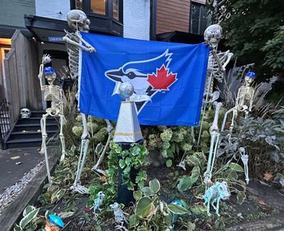Blue-Jays-Halloween.JPG