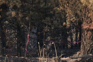 Firefighters get a handle on Spokane wildfires as tens of thousands remain evacuated