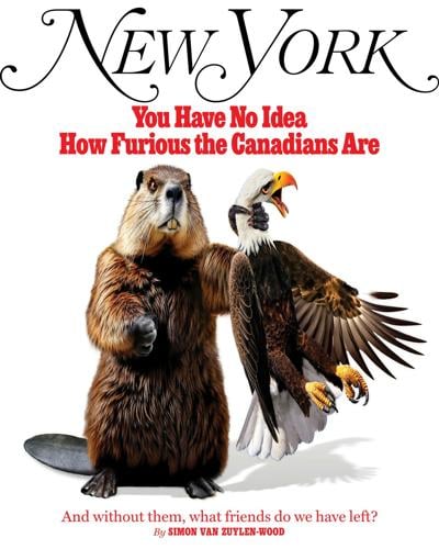 New York Mag Beaver Cover