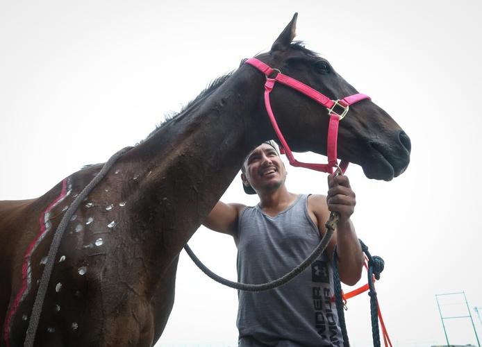 Indian relay racing at Calgary Stampede showcases tradition at top speed