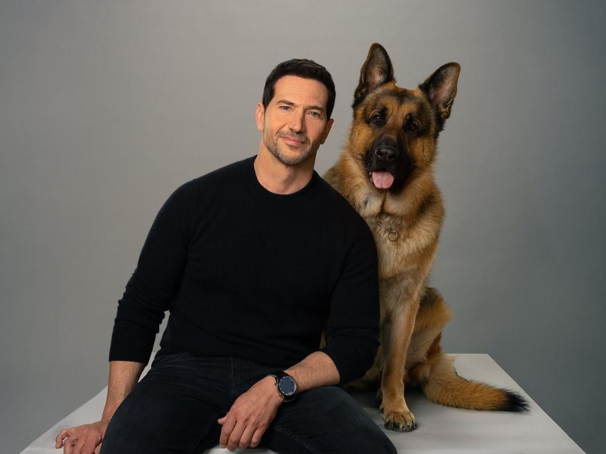 How the new Hudson won over Rex on Hudson & Rex