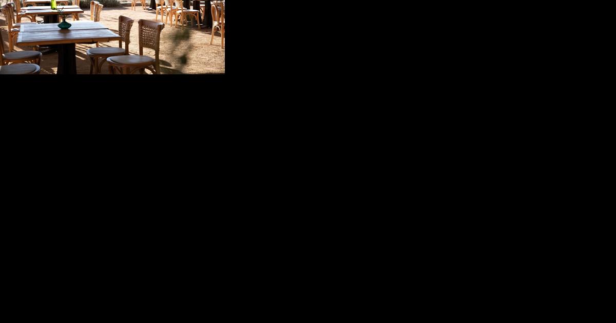 In Mexico, I skipped the beach for an unexpected destination: Baja’s wild and wonderful wine region