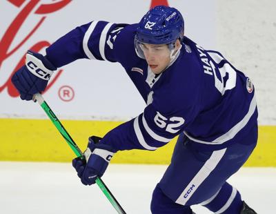 Luke Haymes Leafs