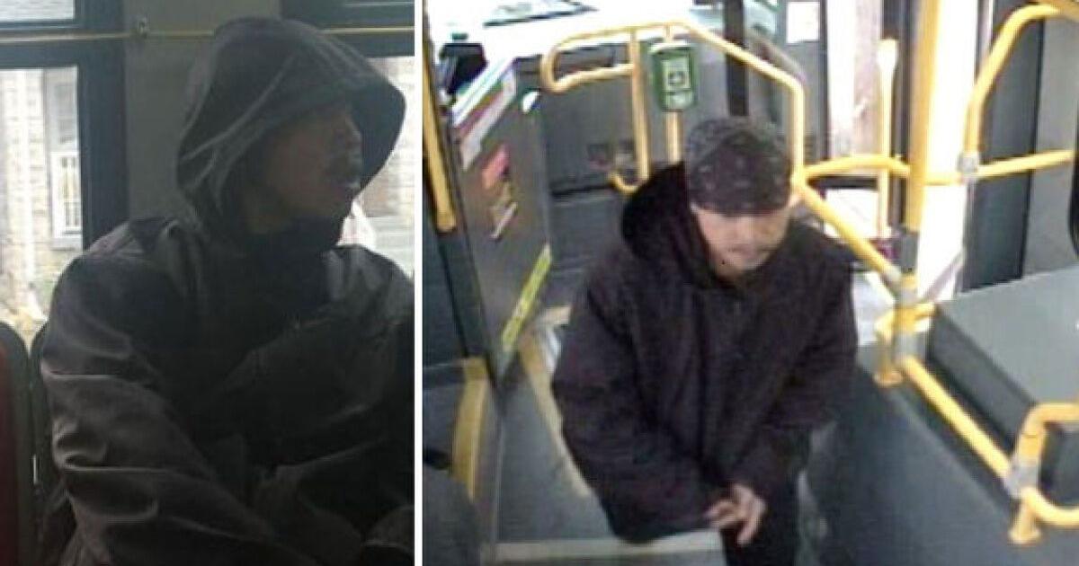 Police searching for suspect in alleged sexual assault on TTC bus