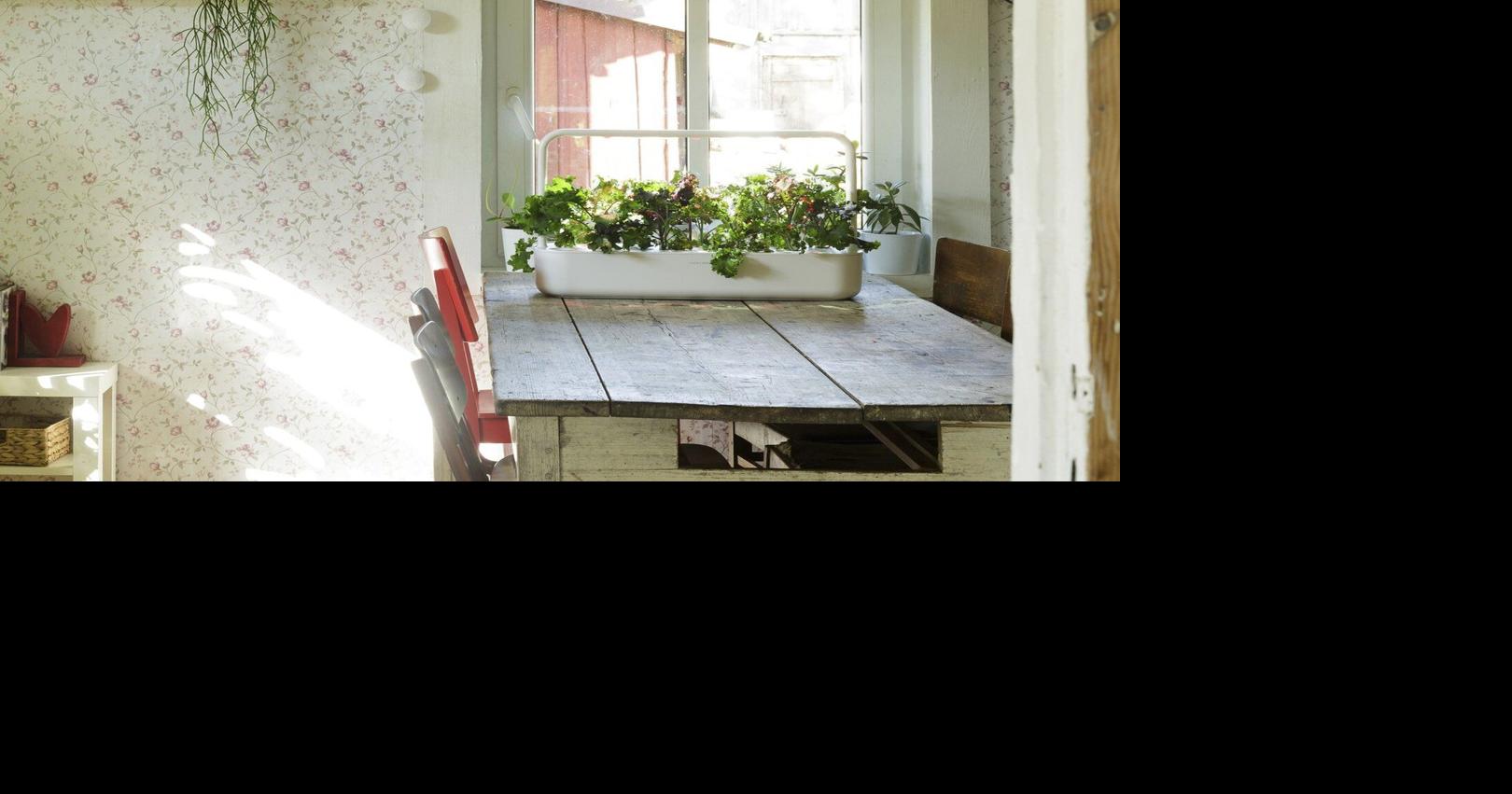 How to use tech in the garden and still keep your serenity