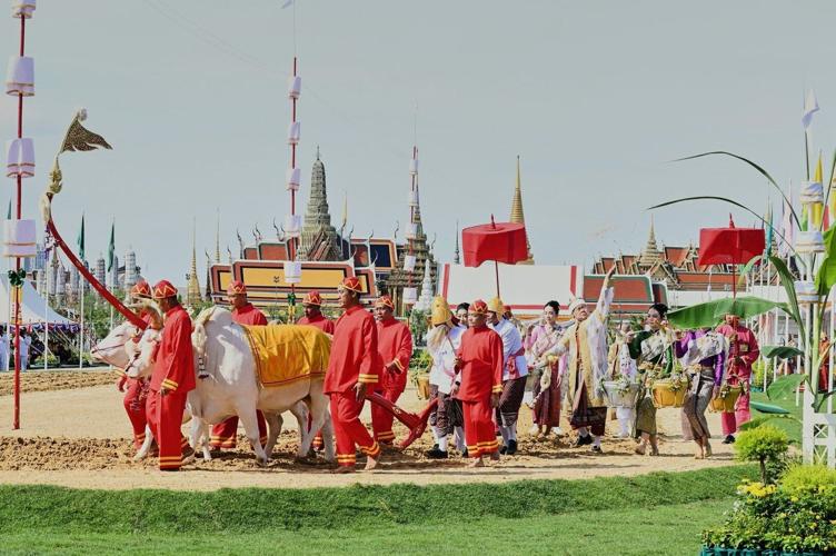 An elaborate centuries-old royal ritual in Thailand's capital predicts a good year for farmers