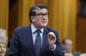 MP calls on New Brunswick to reject proposed AI data centre in open letter to premier