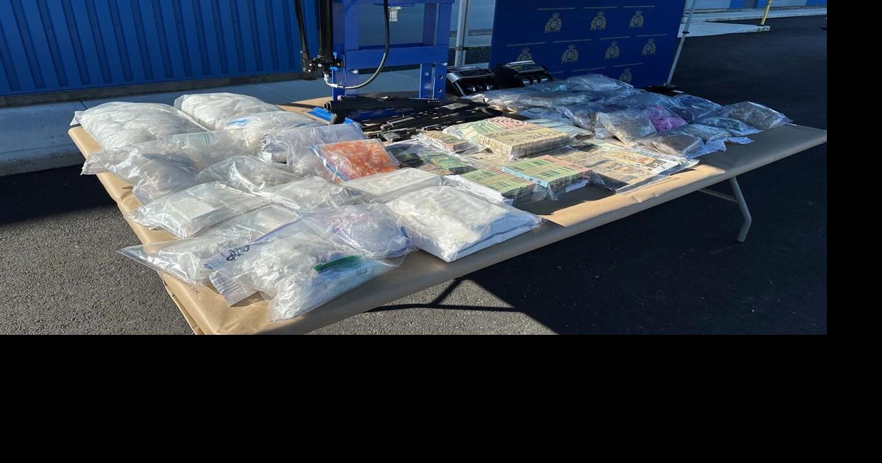 B.C. police seize guns, 14 kilograms of fentanyl in Lower Mainland ...