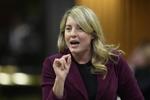 For bailing on promises to Canada, Stellantis and GM will have to pay duty on U.S. vehicles, Carney government says