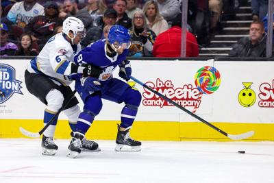 alex nylander.jpg