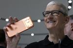 Tim Cook will step down as Apple CEO and hand reins over to the iPhone maker's hardware leader