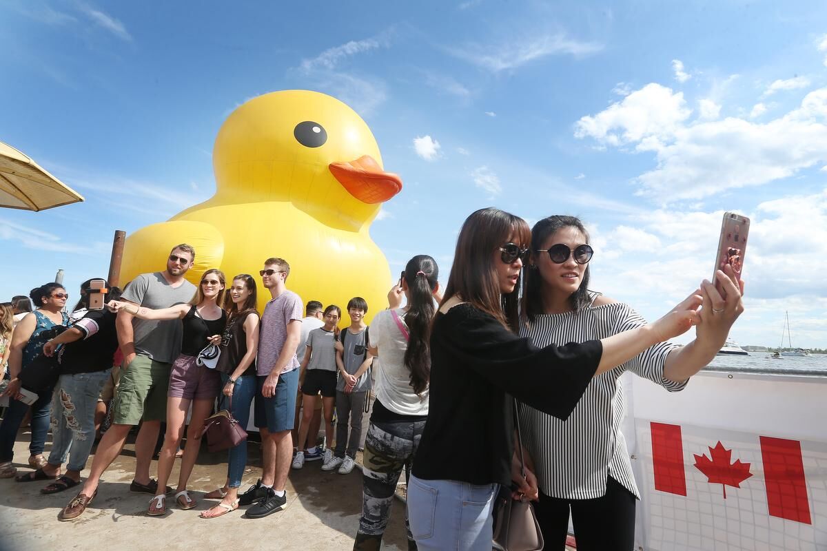 Large rubber duck for hot sale pool