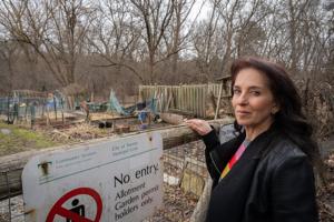 Inside the battle for Toronto's coveted garden plots — and why it's so hard to get one