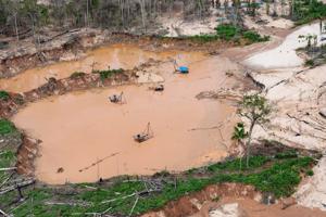 Human rights commission urges oversight of technology used in Latin American environmental crime