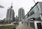 Here’s what it will take to make Harbourfront vibrant again