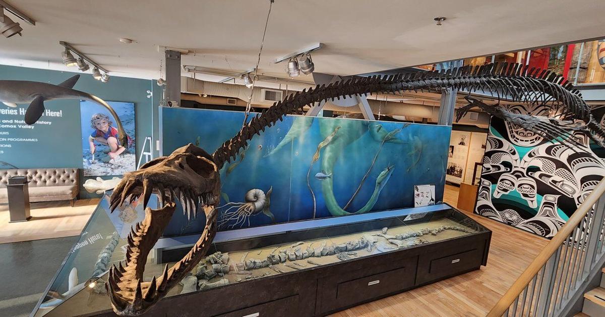 Fierce-looking B.C. fossil confirmed as new genus, days after death of discoverer
