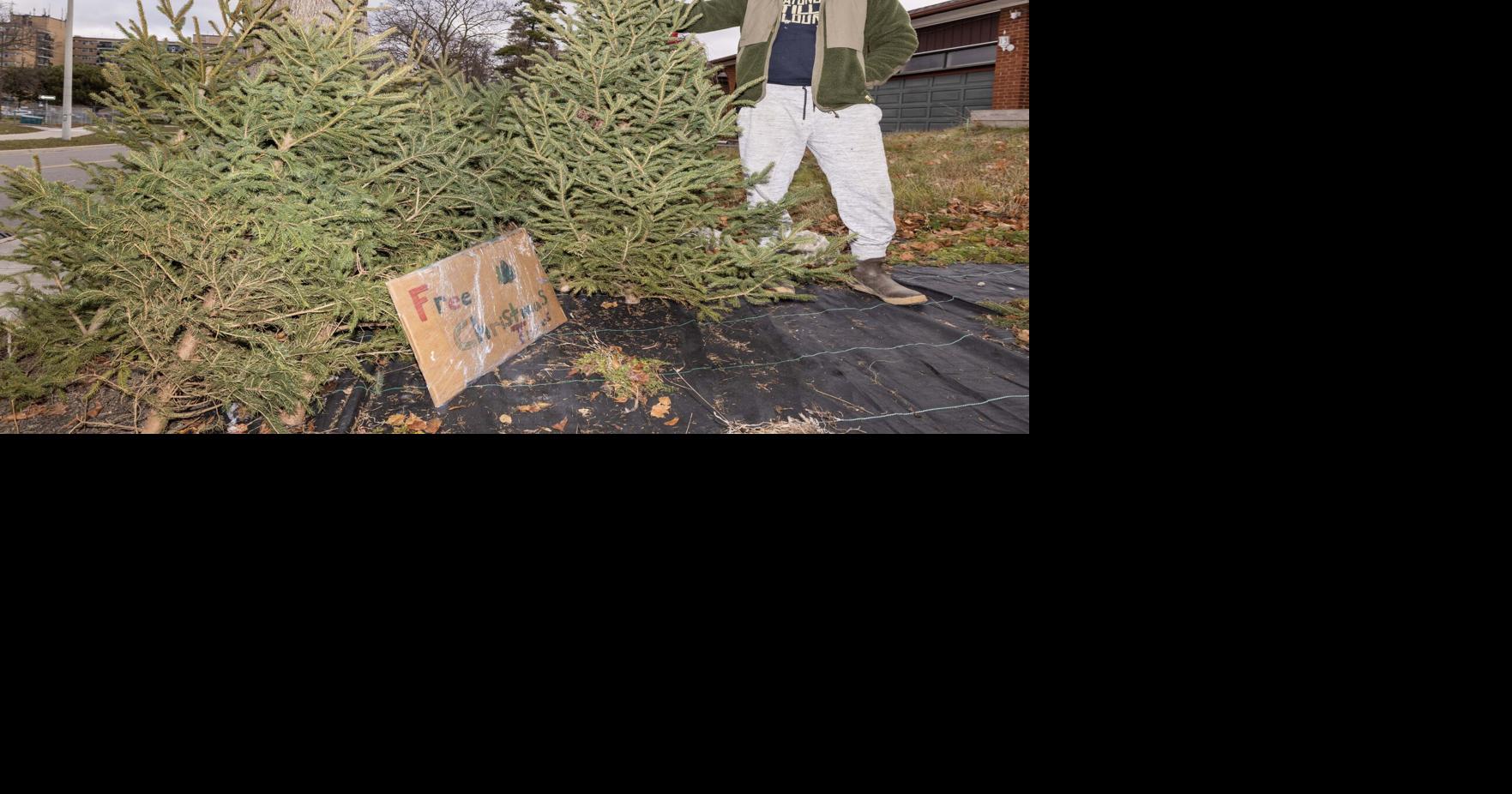 这位多伦多农民每年12月都免费送圣诞树，今年的速度超过往年的任何一年