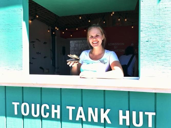 Group calls for Halifax aquarium after thousands visit touch tank