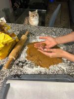 Clover judging; rolls