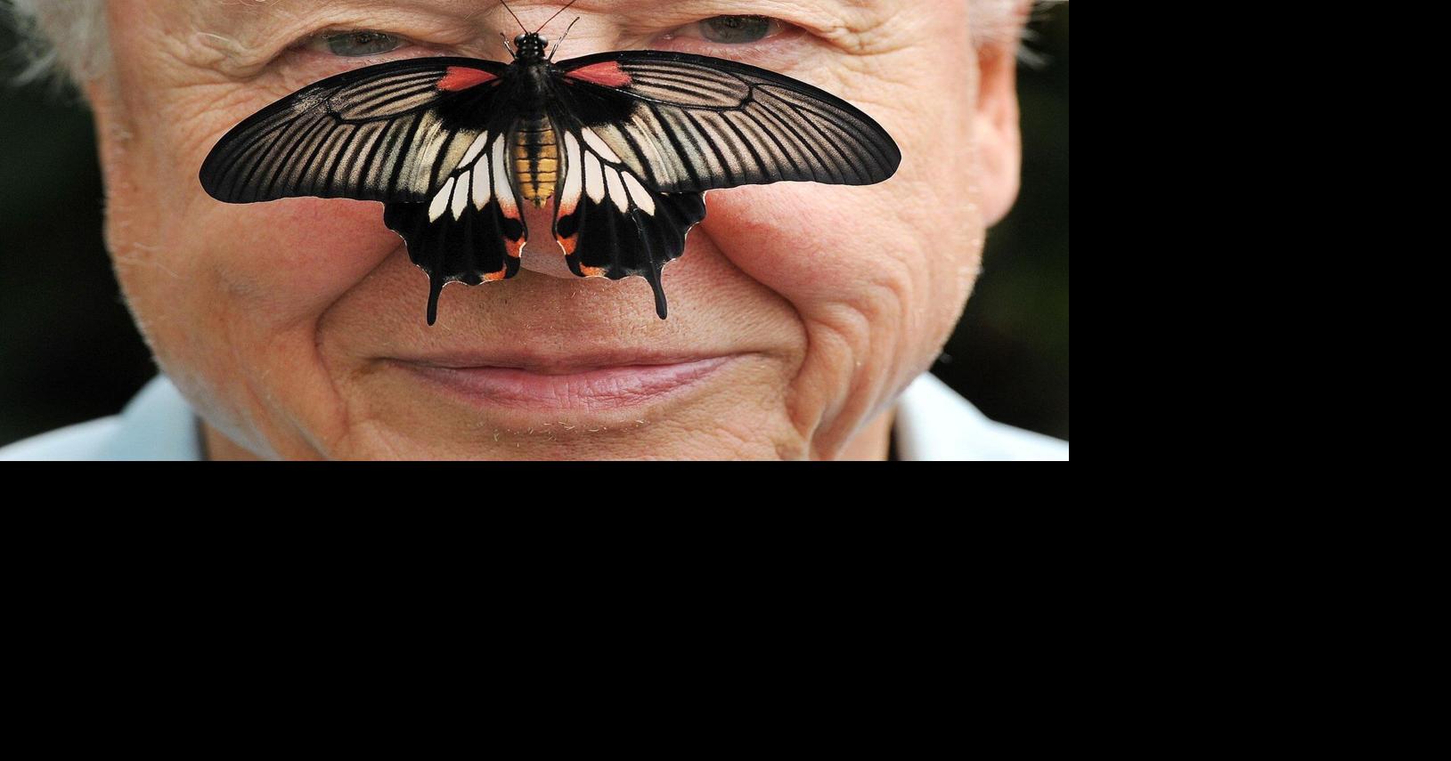 David Attenborough at 100: A Century of Wild Adventures and Environmental Advocacy