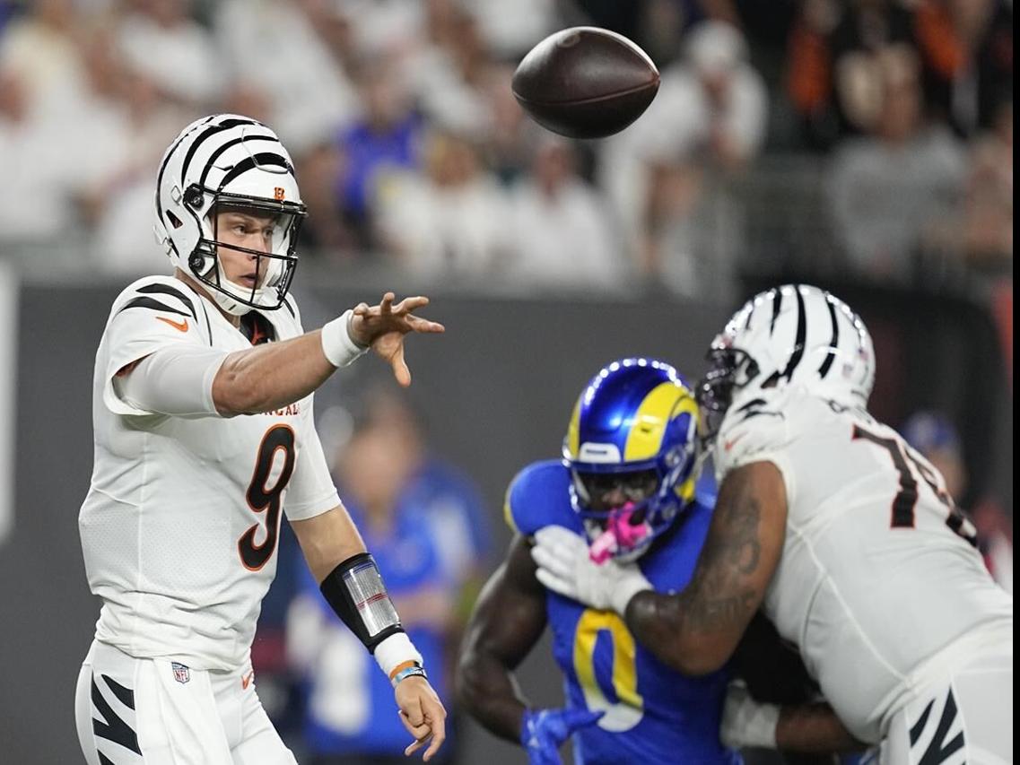 Bengals' Joe Burrow Appears to Tweak NFL With Blunt Message in Instagram  Post - Sports Illustrated