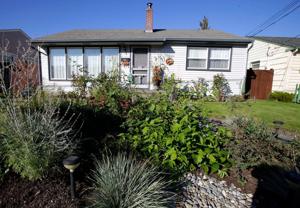 Rain gardens help handle today's downpours. And they can be beautiful too