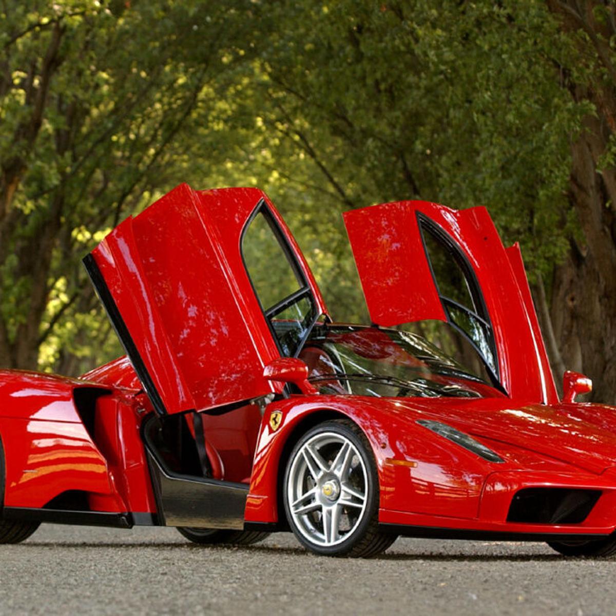 Tommy hilfiger ferrari collection Clearance