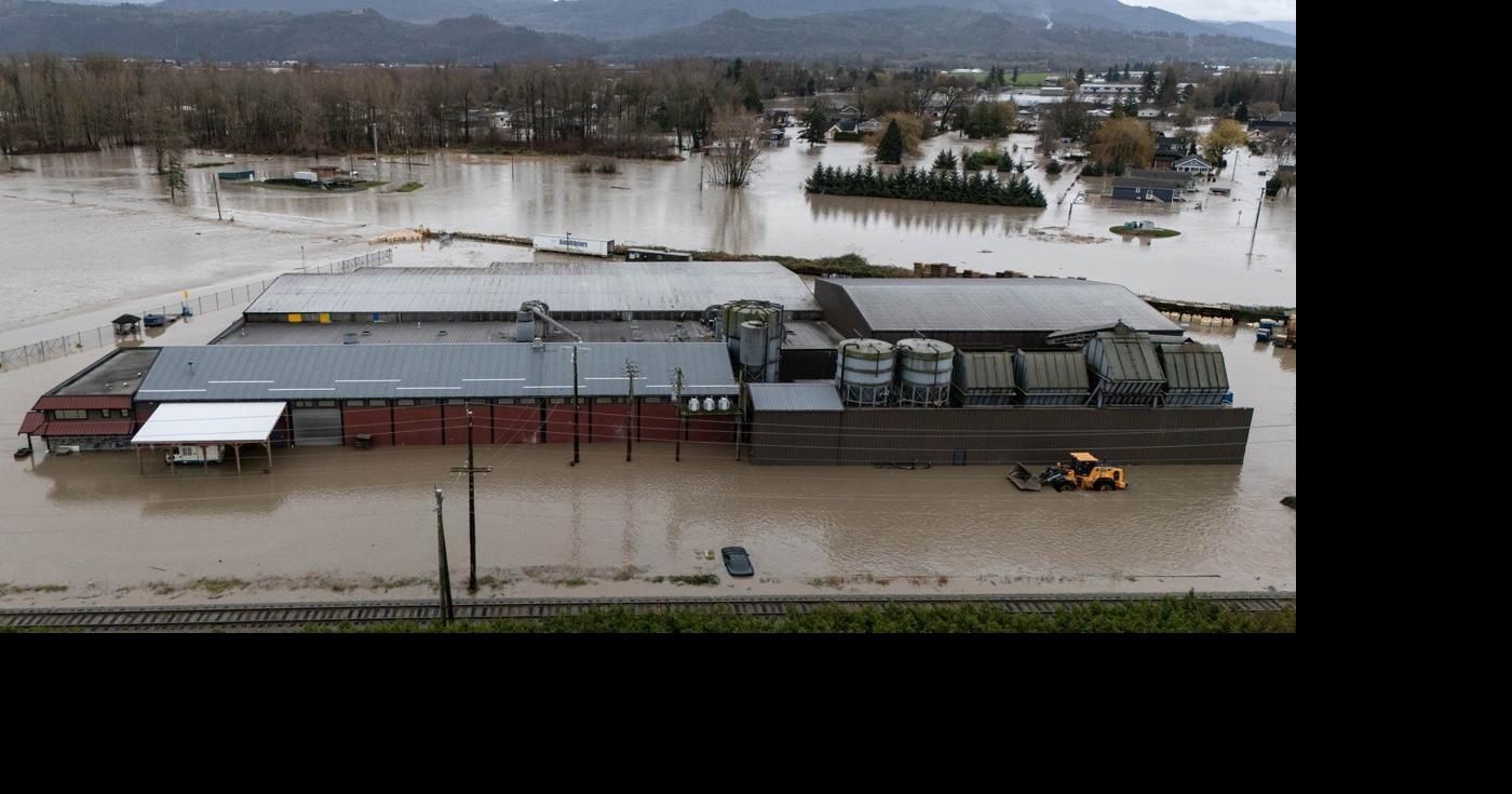 Familiar fate for Abbotsford as floodwaters gush over U.S. border into B.C. again