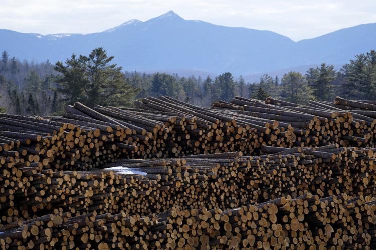 PHOTO COLLECTION: Trump tariffs lumber