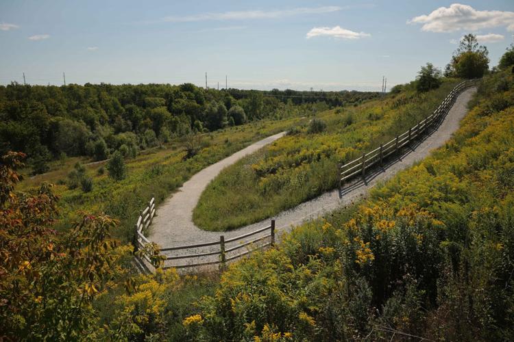 Beare Hill Park 1