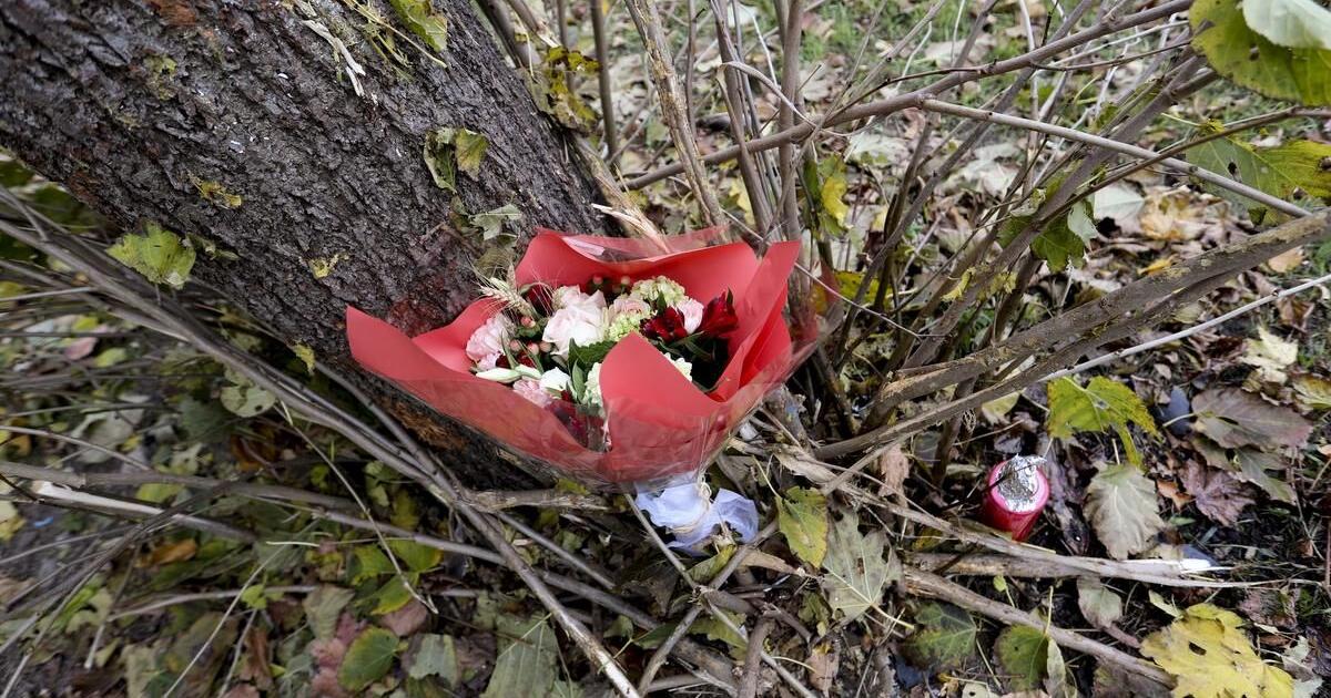 Girl, 5, dead after car crashes into tree in Etobicoke