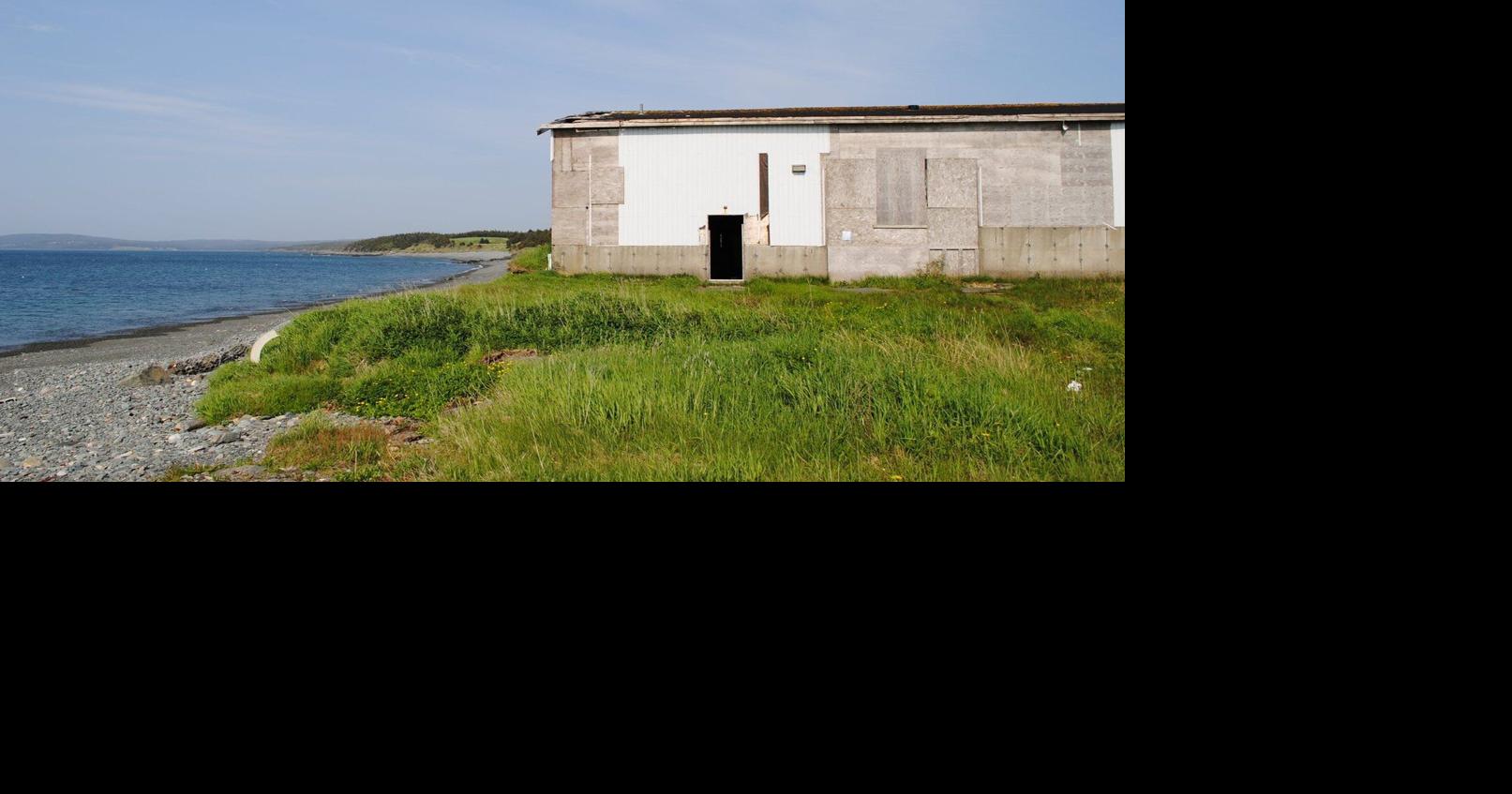 Hope in Newfoundland town as government seeks removal of rotting, stinking fish sauce