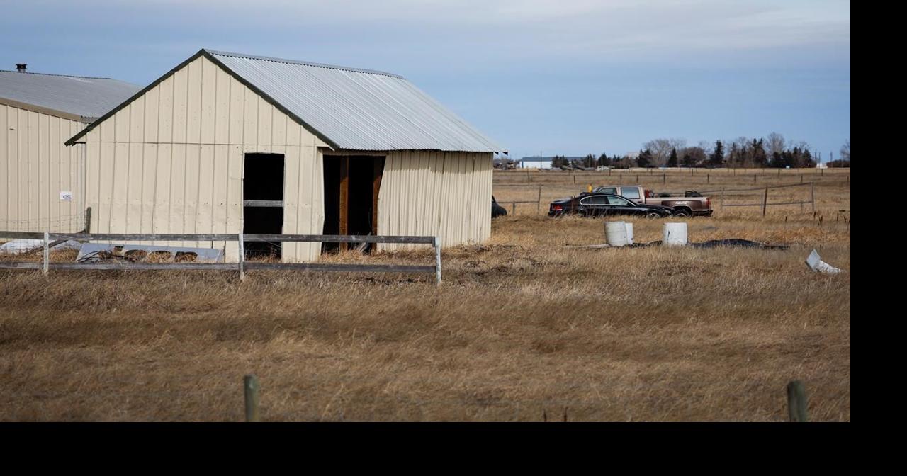Bail hearing set for Alberta man accused of sexually assaulting five women