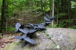 Haliburton Sculpture Forest.jpg
