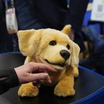 What to expect from CES 2026, the annual show of all things tech?