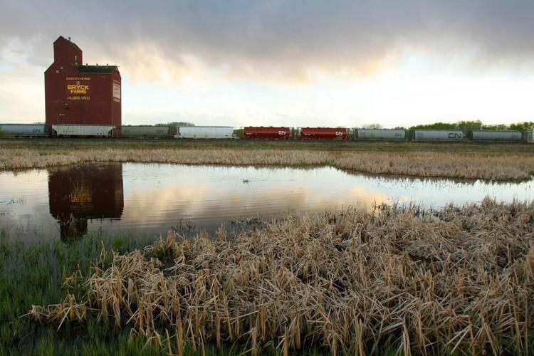 How a Nazi flag became a burning symbol of the racial divide in a tiny