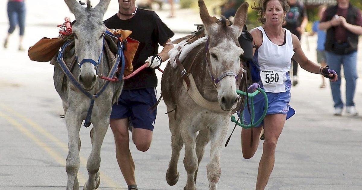Burro racing wins over runners in backcountry ode to mining history