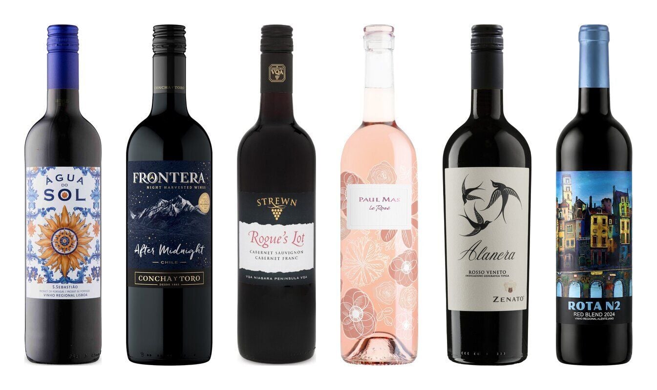 We found 3 delicious red wines at the LCBO! And two more amazing bargains