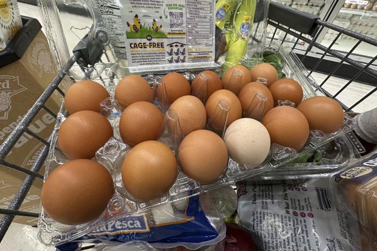 Trump administration sues California over egg prices and blames animal welfare laws